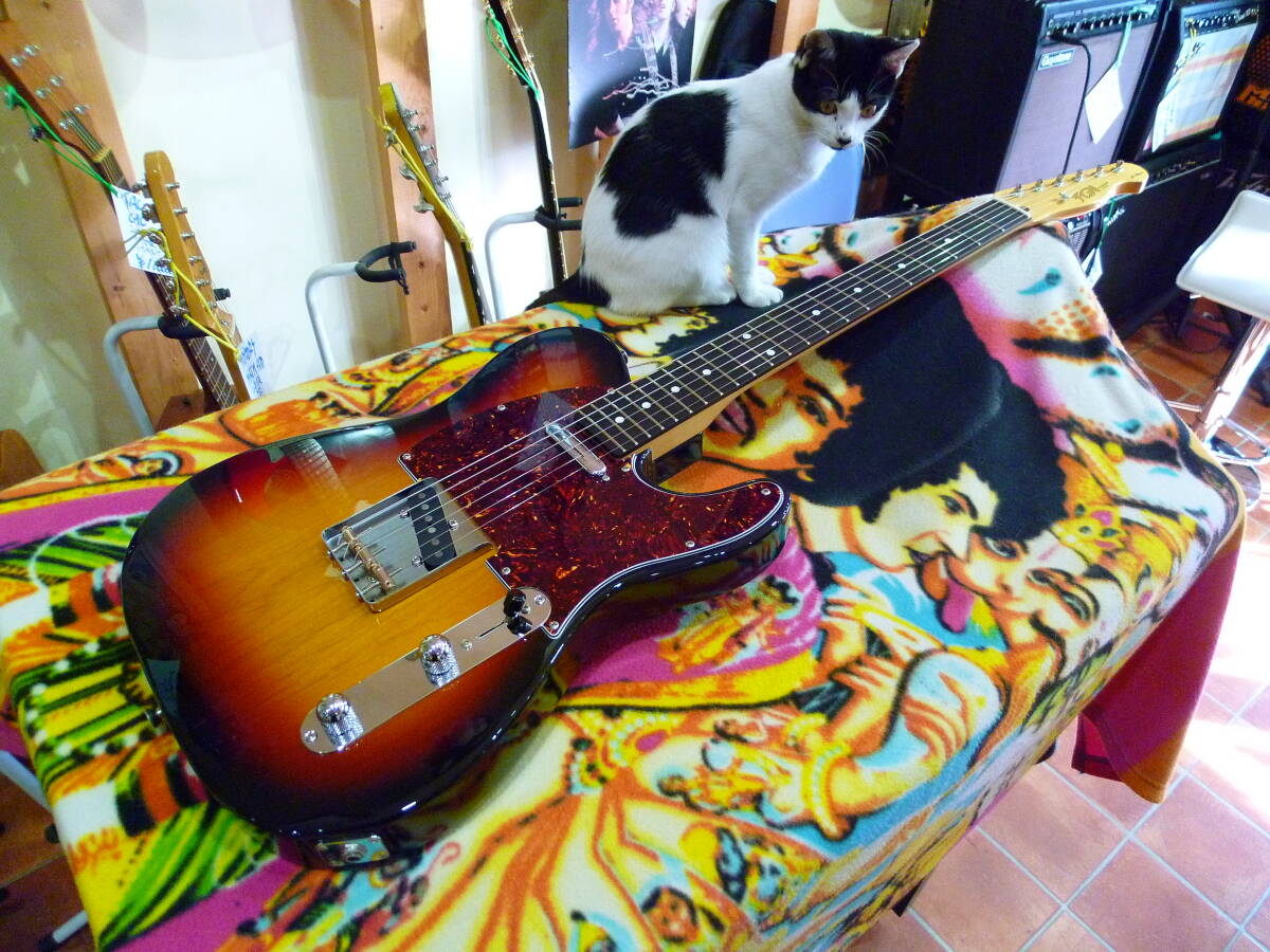 Fujigen Neo Classic Series NTL101-3TS拍卖