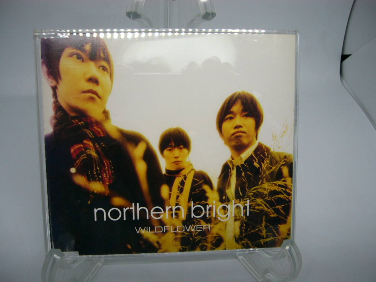 美品 CD NORTHERN BRIGHT「WILDFLOWER」 (№B0104)拍卖