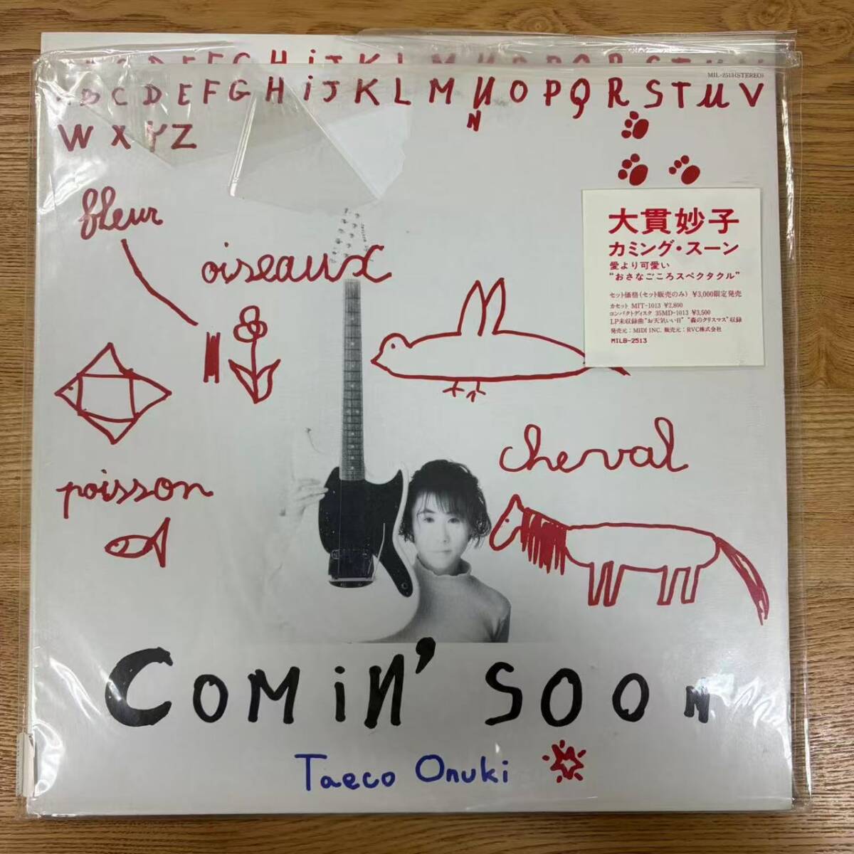 シュリンク残 美盤 絵本付 大貫妙子「Comin' Soon(カミング・スーン)」LP(12インチ)/Dear Heart(MIL-2513)/City Pop NB1121-21拍卖