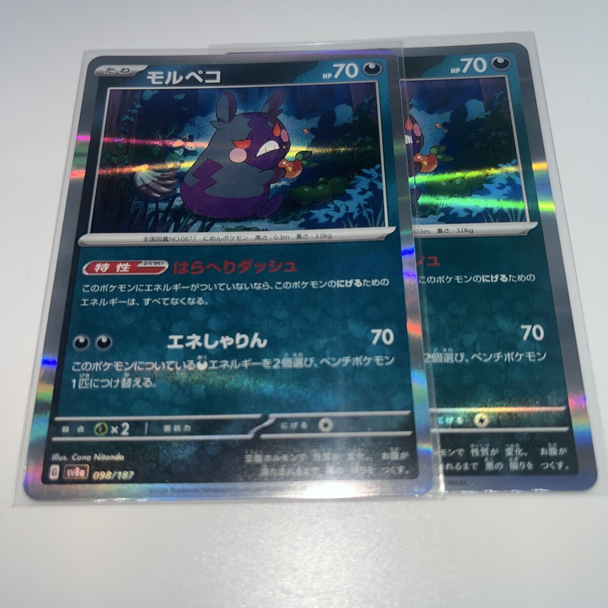 モルペコ ポケモンカード ポケモンカードゲーム テラスタルフェスex拍卖