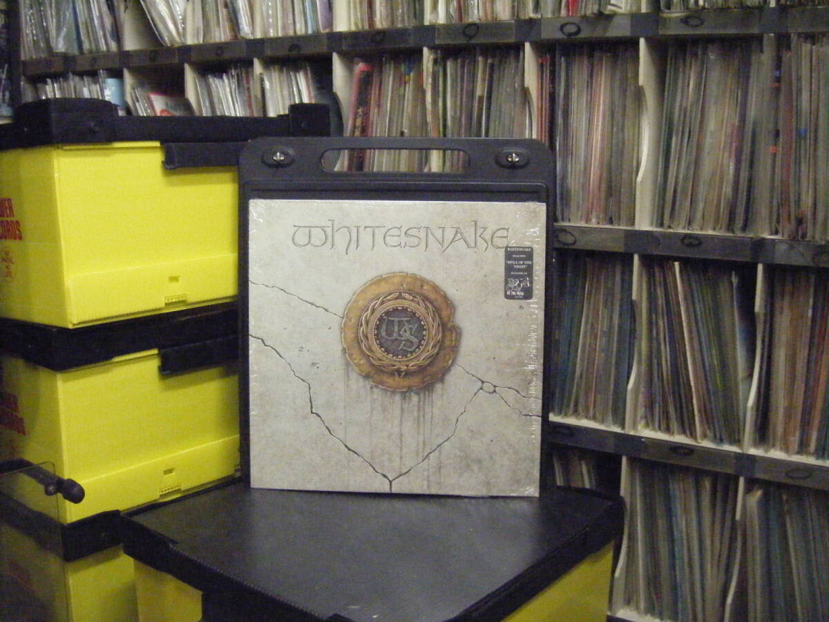 W-141 Whitesnake (US) 拍卖