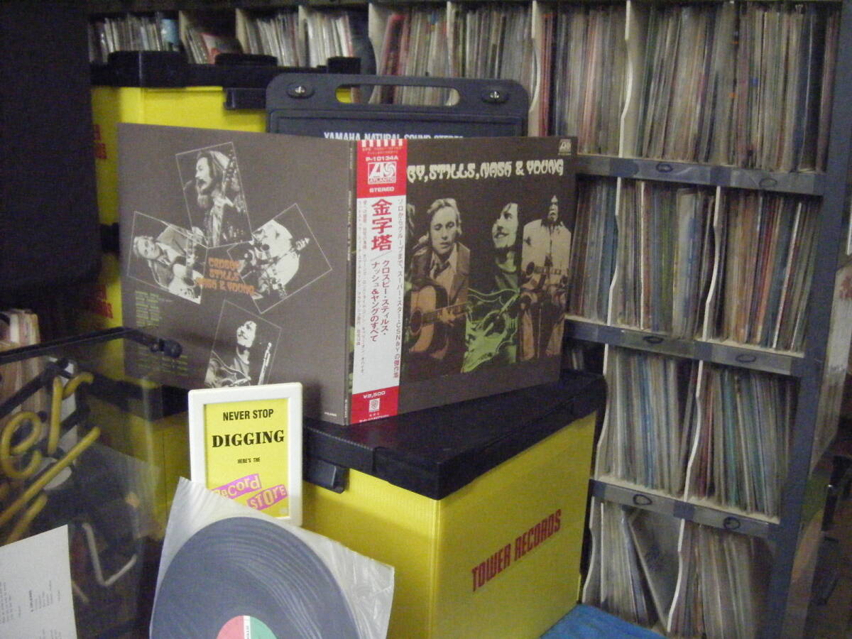 W-18 CSN&Y 金字塔 (帯付) 拍卖