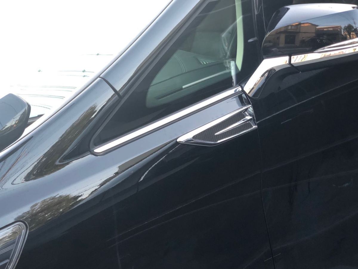 スポーティ&いかつさプラス♪ フェンダーガーニッシュ ヴェルファイア AGH30W AGH35W GGH30W GGH35W 2.5X 2.5V 2.5Z 3.5Z 3.5ZA 3.5V拍卖