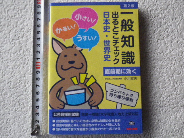 一般知識 出るとこチェック 日本史・世界史 第2版 公務員採用試験 単行本●送料180円●同梱大歓迎拍卖