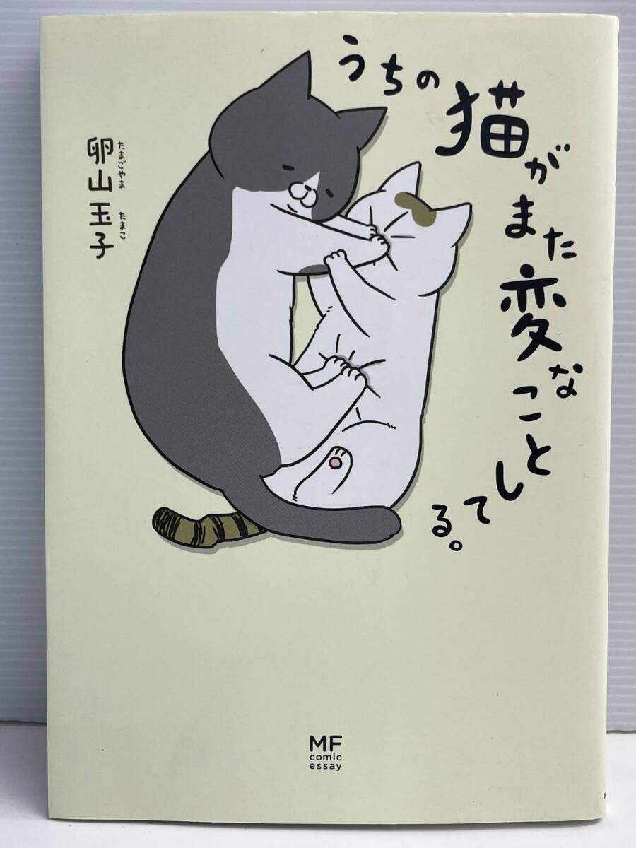 うちの猫がまた変なことしてる。 コミックエッセイ メディアファクトリーのコミックエッセイ/【K191209】251111拍卖