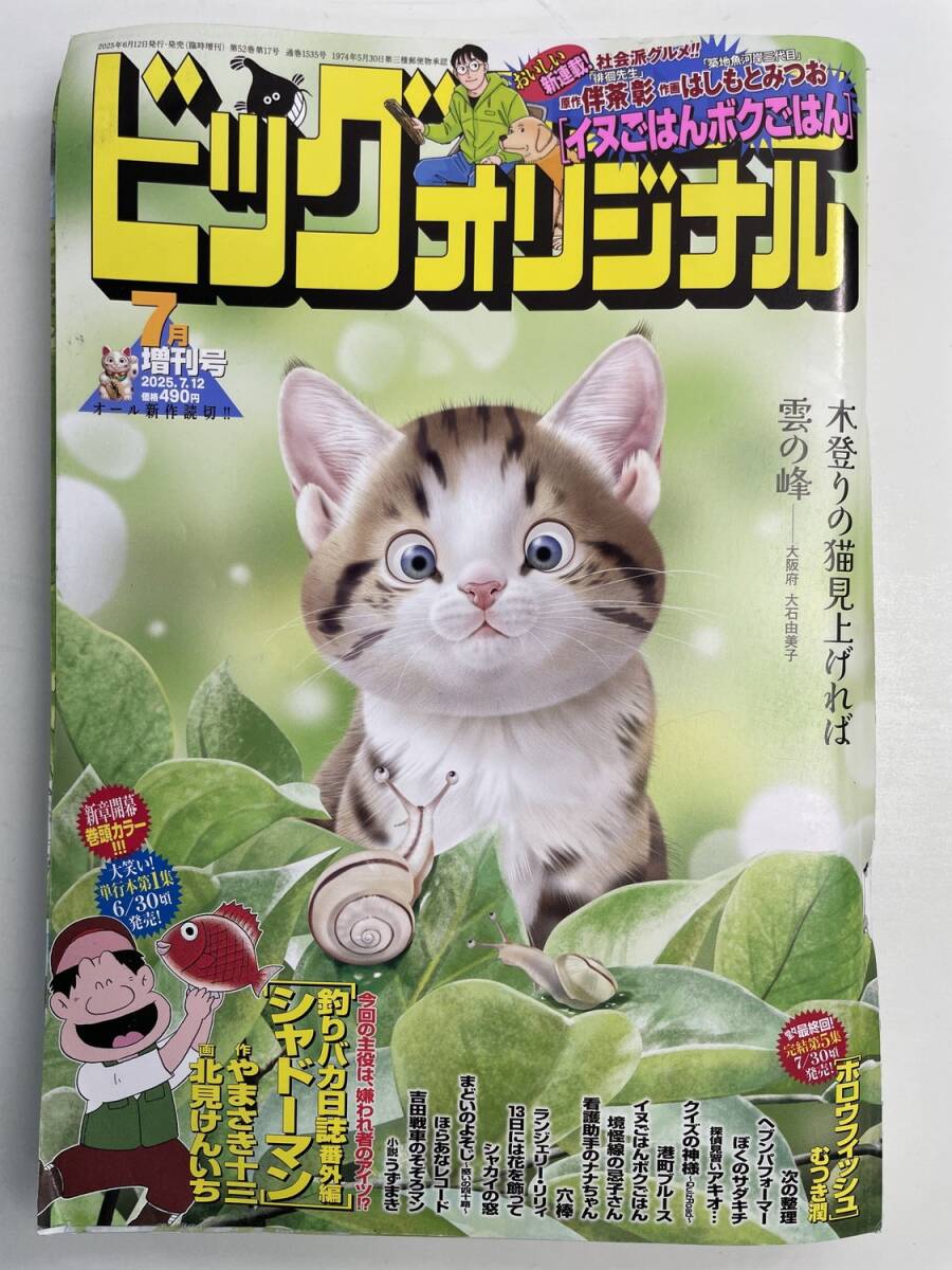ビッグコミックオリジナル 2025年7月増刊号【K191251】251111拍卖
