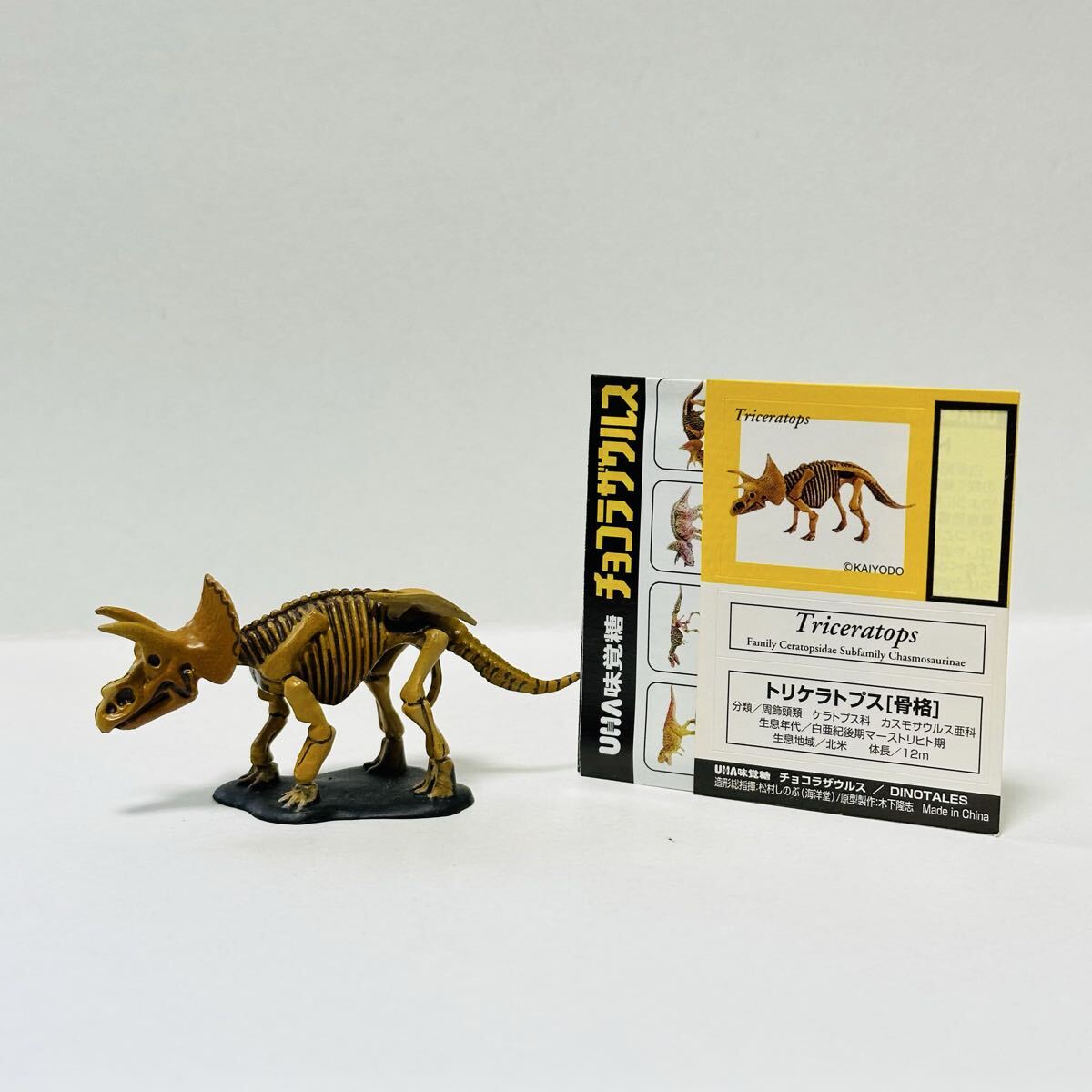 UHA味覚糖 チョコラザウルス DINOTALES 第1シリーズ / 004 トリケラトプス (骨格)拍卖