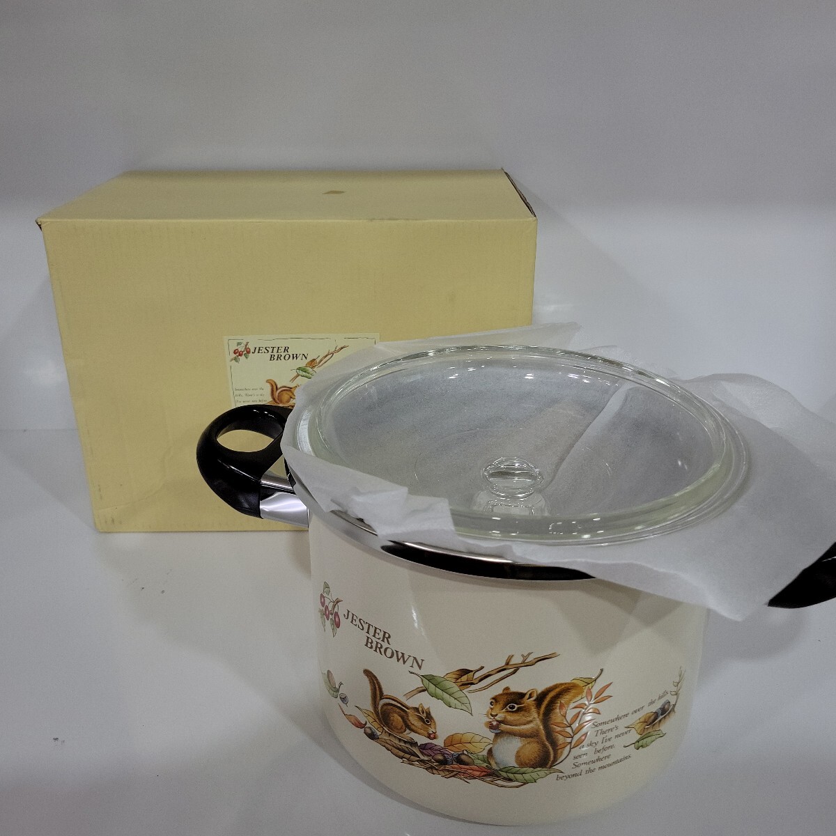 №9437 未使用 保管品 ジェスター・ブラウン ガラス蓋 ほうろう鍋 深型両手鍋 20㎝ 中子付拍卖