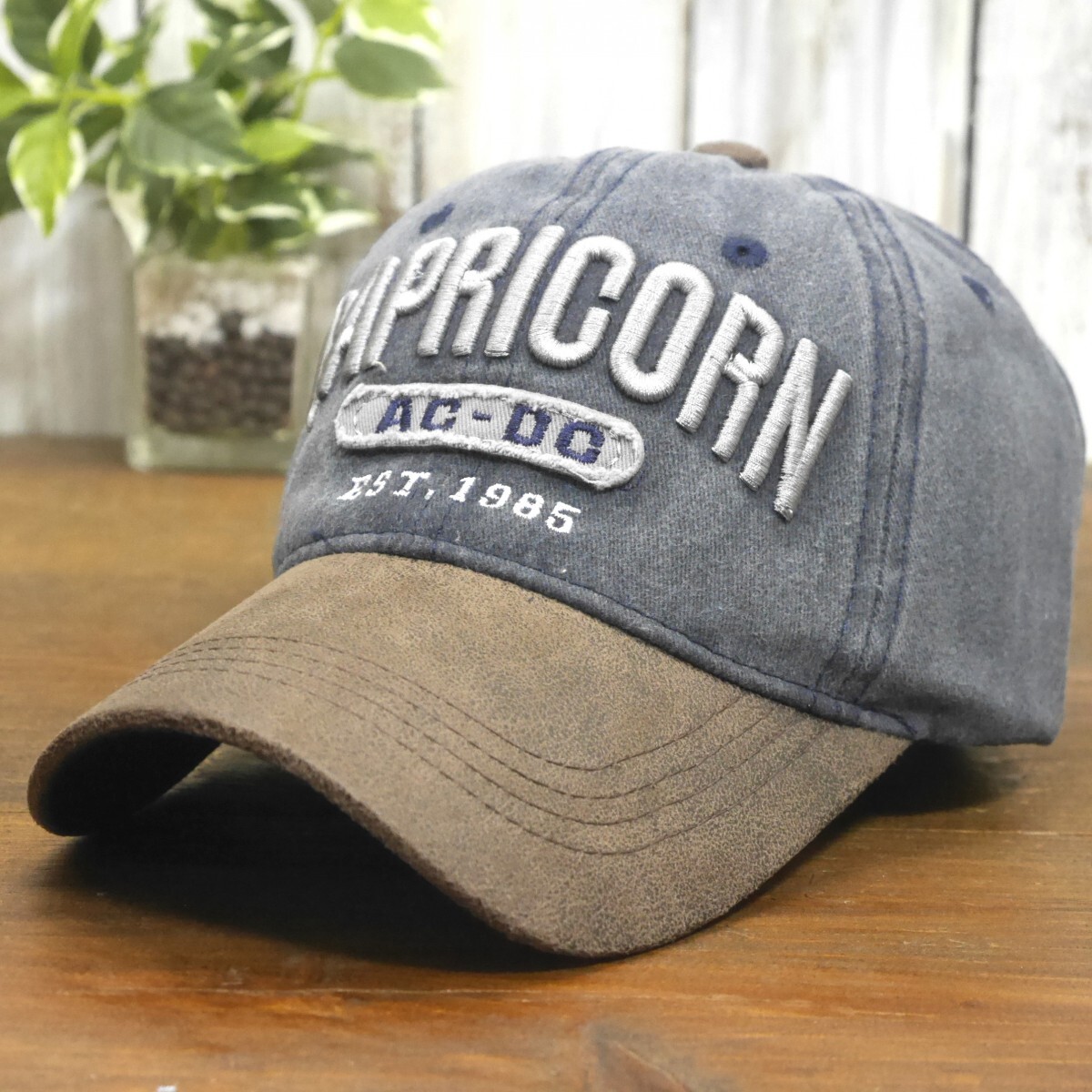 送料\450 CAPRICORN ビンテージ ダメージ 色あせ キャップ ネイビー サイズ調整可能 男女OK メンズ レディース拍卖