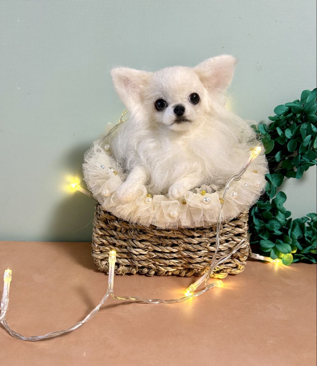 羊毛フェルト チワワのビジューフリルバスケット拍卖