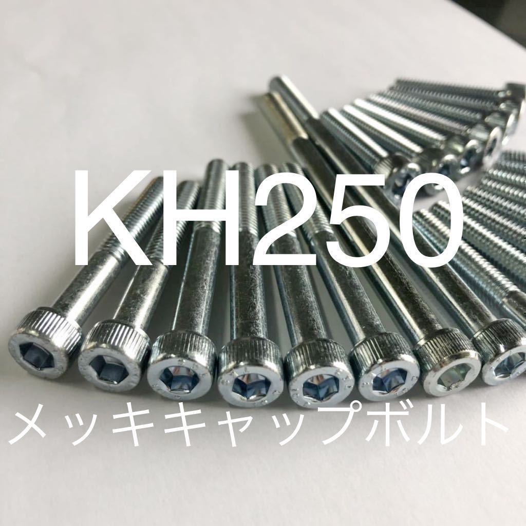 kh250 kh400 エンジンカバーボルト ユニクロメッキ キャップボルト 1台分セット 格安国産拍卖