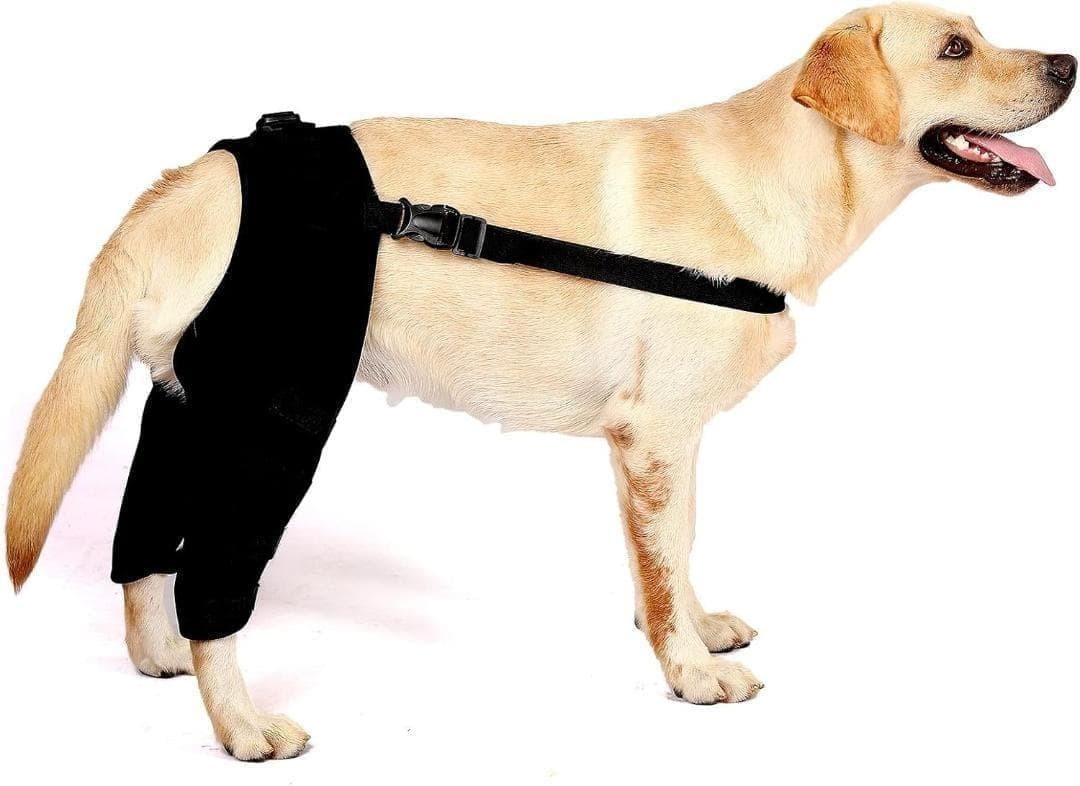 犬用 リハビリ 用品 小型犬 中型 大型犬 サポーター 膝関節 プロテクター(後拍卖