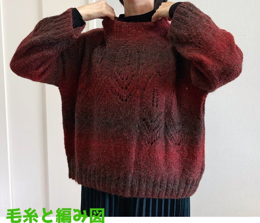 編み物キット 新品 アルパカレジェーログラデーションで編むリーフ柄が可愛いゆったりセーター 毛糸 リッチモア 無料編み図 Richmore拍卖