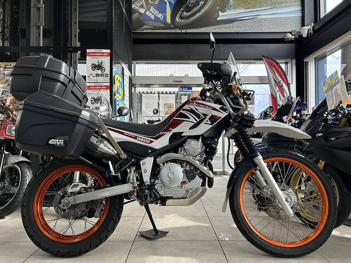 【MFD寝屋川】カスタムパーツ盛りだくさん!ツーリングセロー拍卖