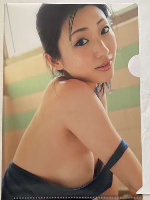 ◆即決◆ 壇蜜 クリアファイル ③拍卖