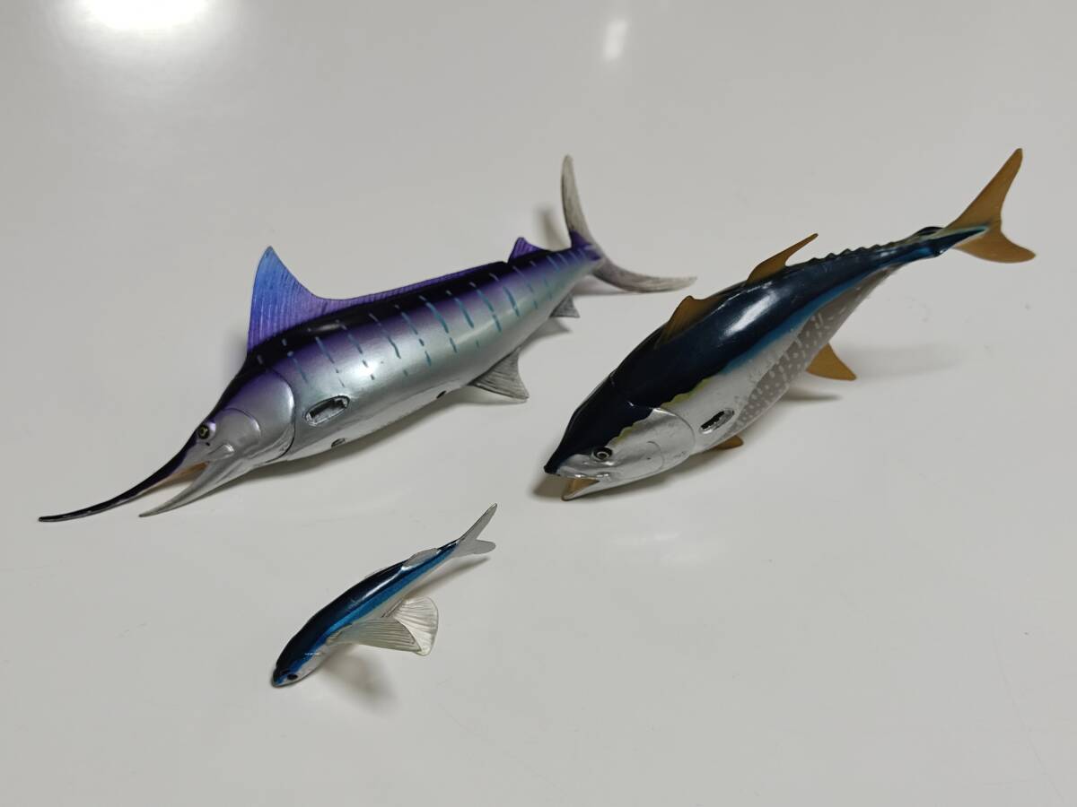 【送料無料】COLORATA カロラータ カジキマグロ ビンチョウマグロ トビウオ 水族館の魚 フィッシュ フィギュア 人形 置物 計3個拍卖