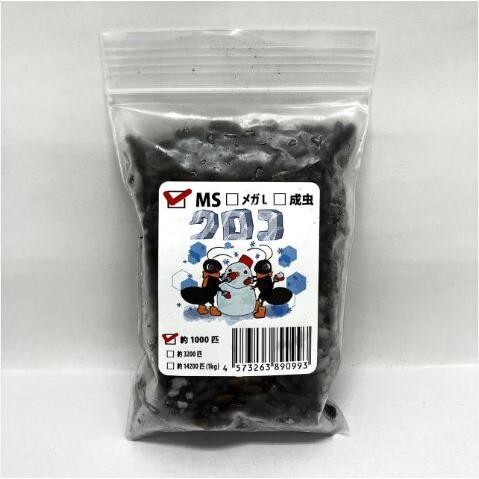 【送料無料・邑楽ファーム・クール便発送】冷凍クロコオロギ MSサイズ(約1000匹入り)拍卖