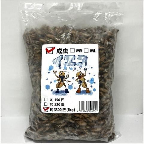 【邑楽ファーム】【送料無料・クール便発送】冷凍イエコオロギ 成虫 1kg(約3300匹入り)拍卖