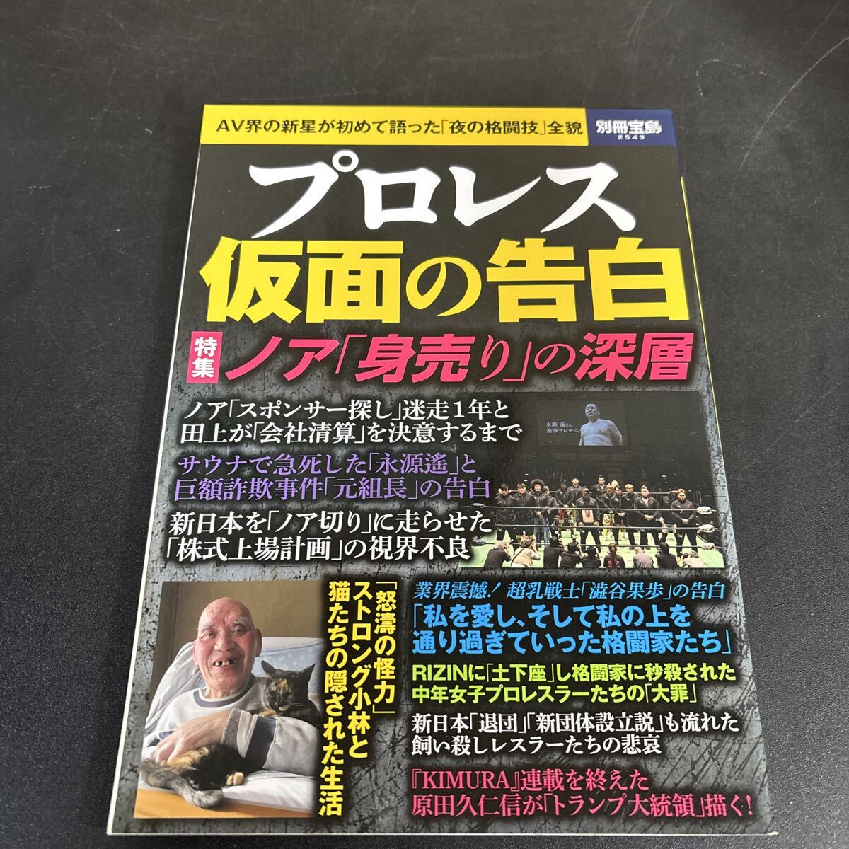 25-11-13『 別冊宝島 プロレス仮面の告白』AV界の新星が語る「夜の格闘技」超乳戦士「澁谷果歩」の告白ほか 拍卖