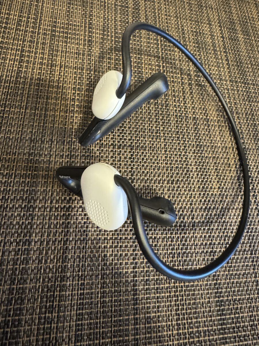 ソニー(SONY)ワイヤレスイヤホン桐生祥秀選手推薦モデル Float Run オープンイヤー型/オフイヤーデザイン 16mmドライバー搭載/防滴IPX4相当拍卖