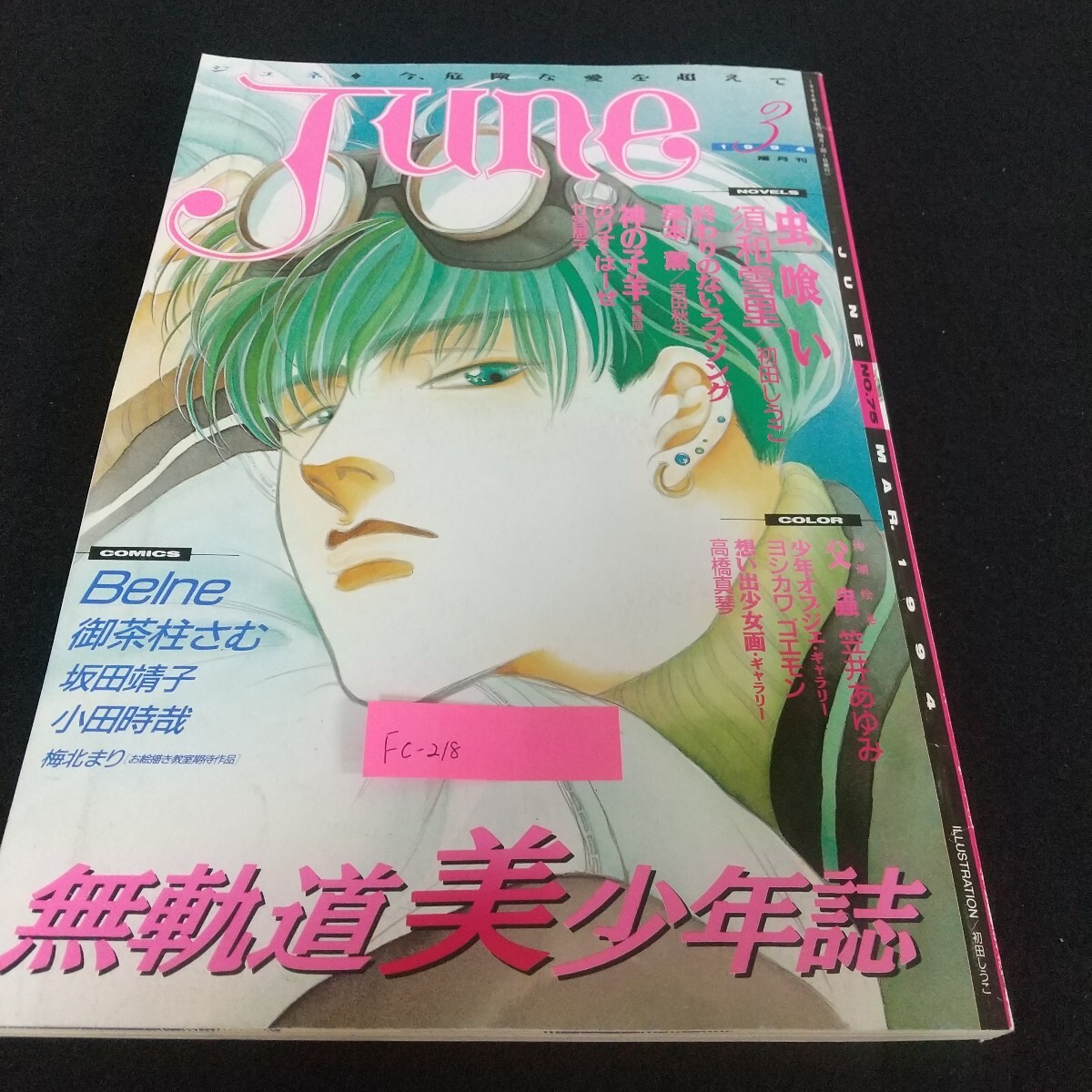 Fc-218/June 虫喰い 須和雪里 終わりのないラブソング 栗本薫 吉田秋生 神の子羊 のりす・はーぜ 竹宮恵子/L7/71110拍卖