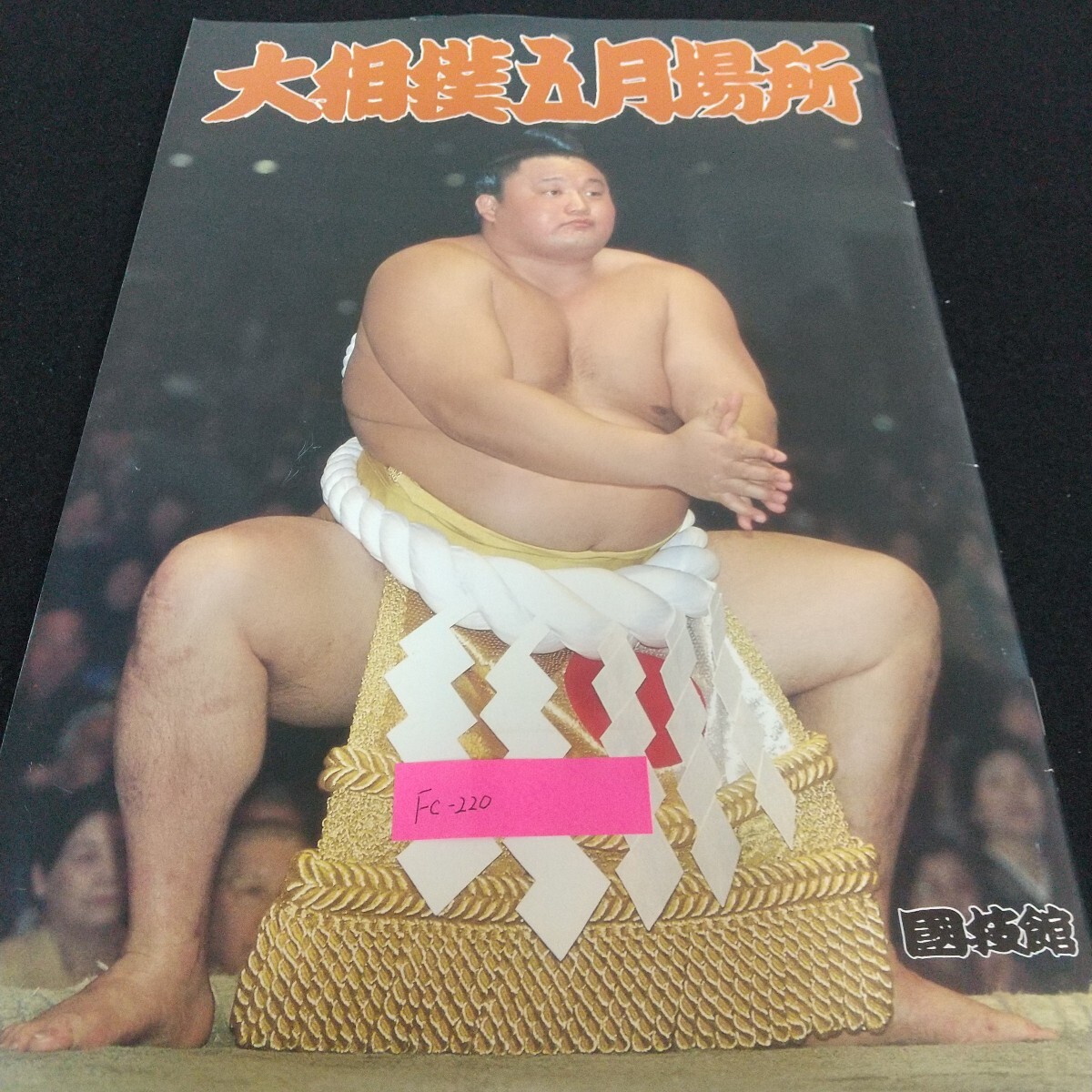 Fc-220/大相撲五月場所 国技館 財団法人日本相撲協会 貴乃花 武蔵丸 魁皇 武双山 出島 雅山 千代大海 栃乃洋 栃東/L7/71110拍卖