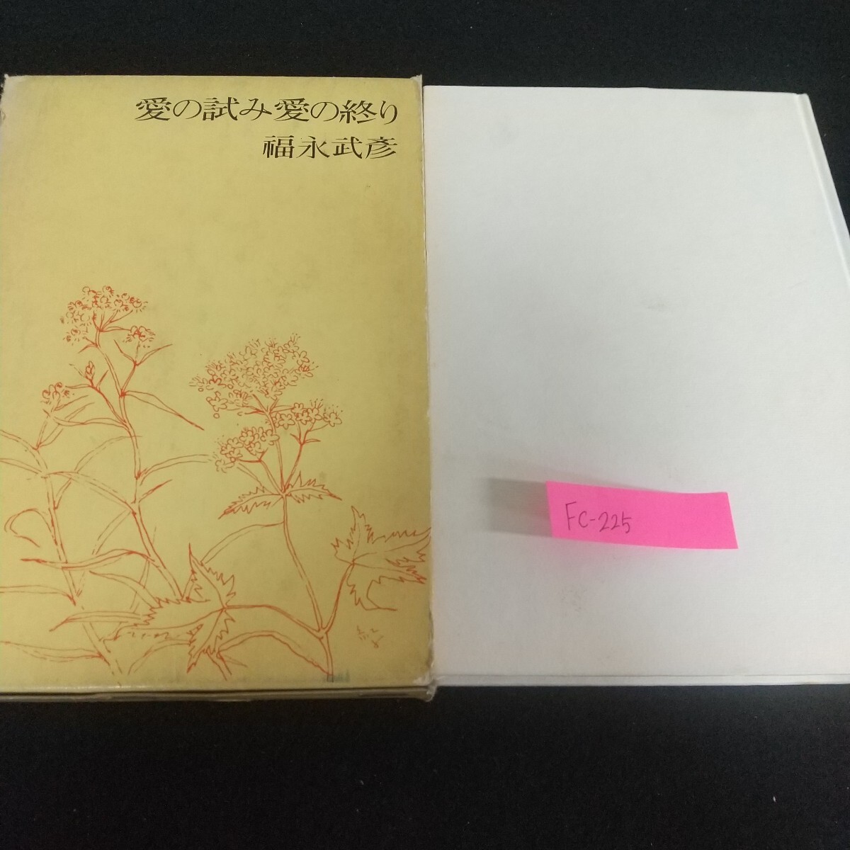 Fc-225/愛の試み愛の終り 福永武彦 内なる世界 エゴ 星雲的 虚像 時間 初戀 人間的 情熱 所有 理解/L7/71110拍卖