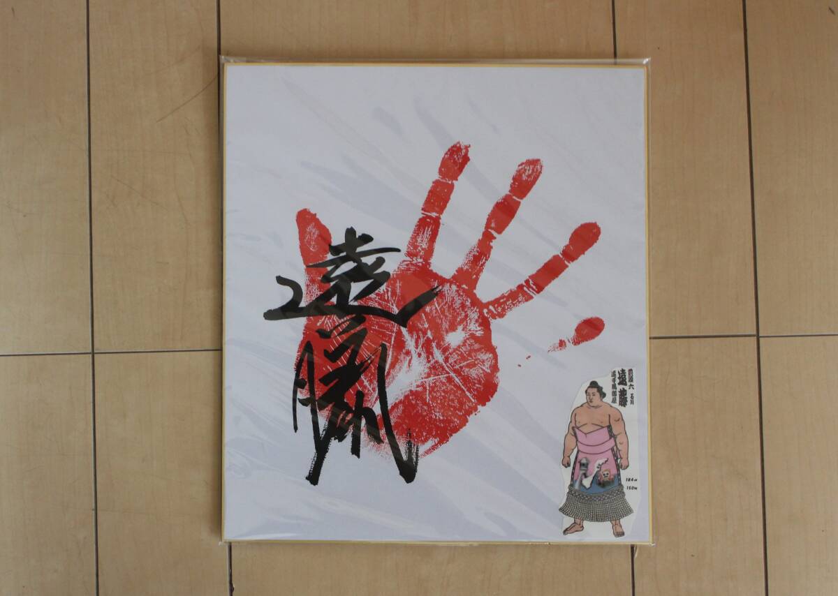 【引退】大相撲 遠藤聖大 (追手風部屋)手形サイン色紙拍卖
