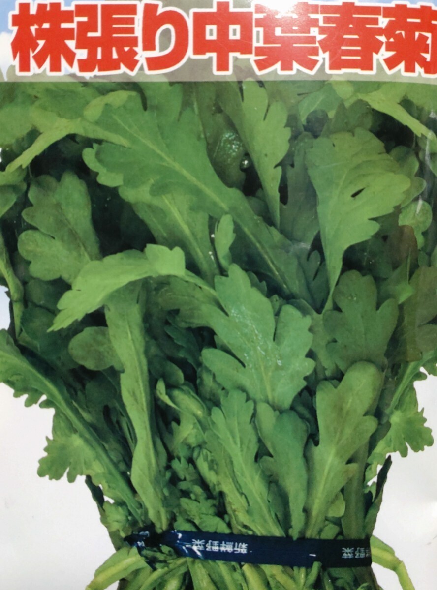 株張り中葉春菊の種子 200粒 ほぼ周年栽培可能なしゅんぎく! 枝分かれ多く沢山収穫できる春菊! 肉厚で切れ込みの入った葉 シュンギク拍卖