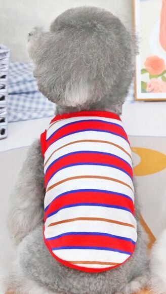 ◎送料無料・新品★犬の洋服 半袖Tシャツ 赤ボーダーXXLサイズ ビーグル、コーギー、柴犬ほか拍卖