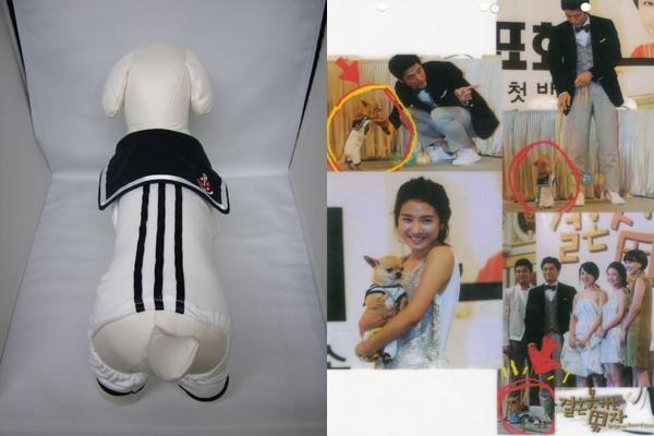 ◎送料無料新品★犬の洋服・セーラー服★韓国ドラマでも着用★S拍卖