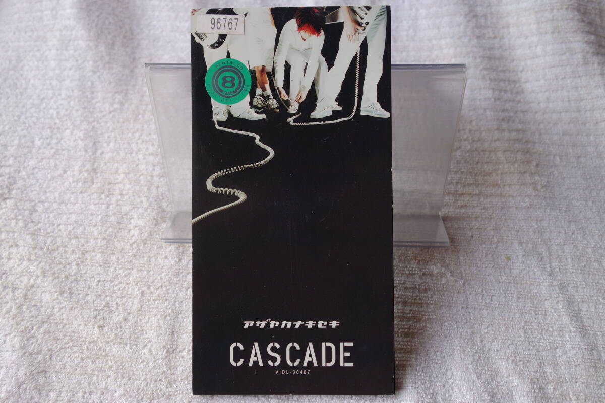 ★ CASCADE 【アザヤカナキセキ】 カスケード 8㎝シングル SCD レンタル落ち拍卖