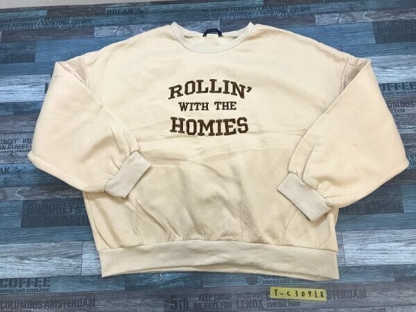 SHEIN CURVE レディース 裏起毛 刺繍入り トレーナー 大きいサイズ 4XL ベージュ拍卖