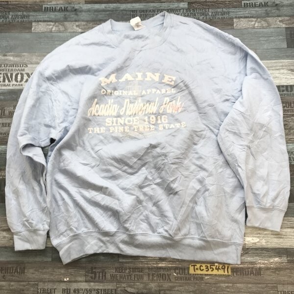 GILDAN メンズ プリント トレーナー 大きいサイズ XL 水色拍卖