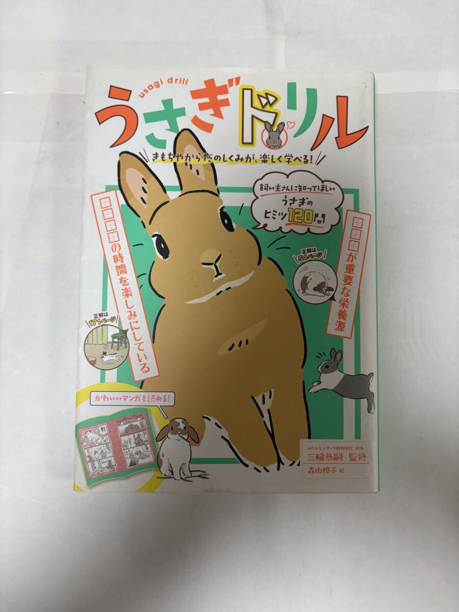 うさぎを飼うためのドリル ちいかわ コンドウアキ 下じき ピアノ教室テキスト拍卖