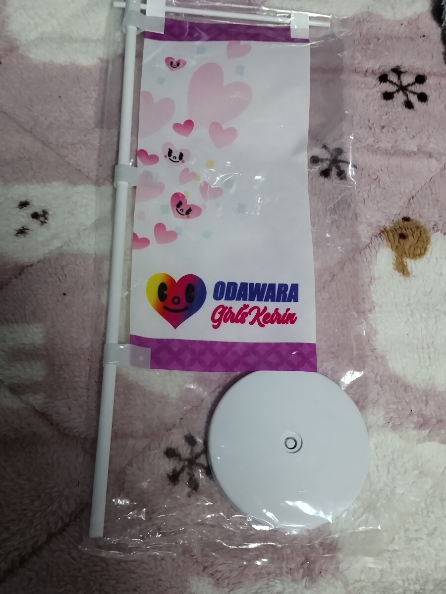 ガールズケイリン ミニのぼり 小田原けいりん 競輪拍卖