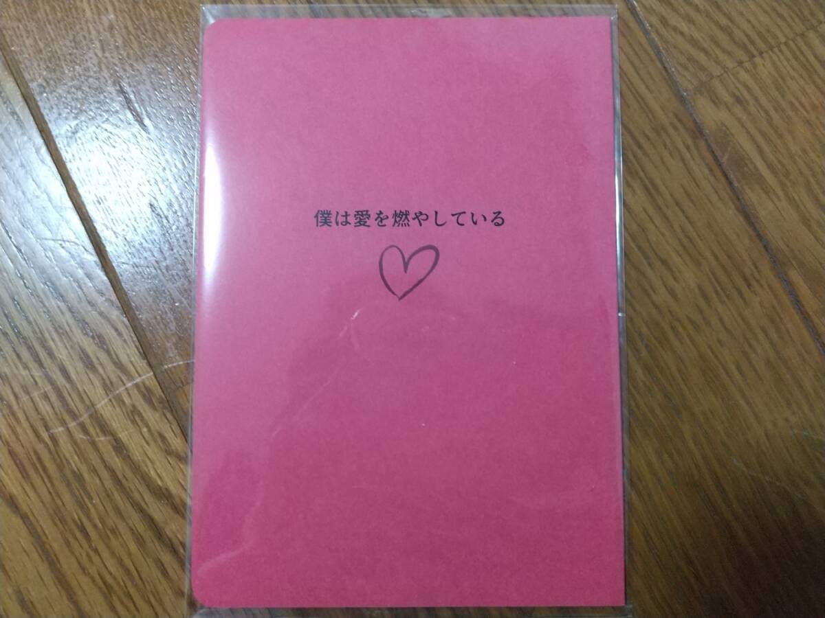 僕は愛を燃やしている suyaa/まりな様 同人誌 小説 五悠 呪術廻戦 五条悟×虎杖悠仁 匿名配送 A35拍卖