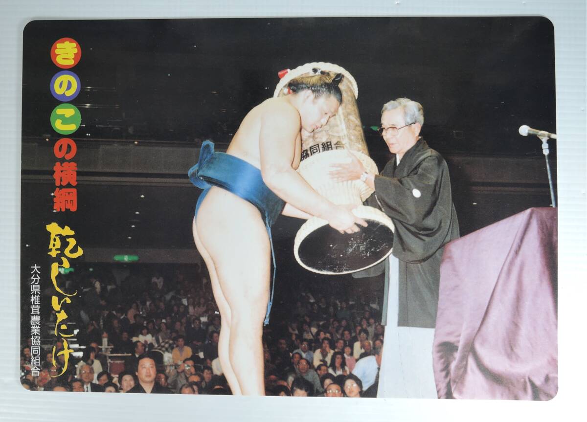 ☆10E■下敷き きのこの横綱・乾しいたけ 横綱貴乃花■大分県椎茸農業協同組合/生産と流通のしくみ拍卖