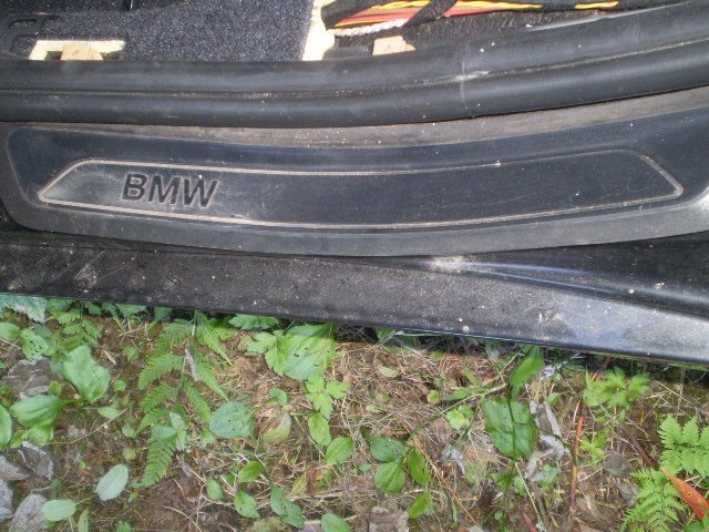 BMW F20 116i リアドア左側用 スカッフプレート 本州送料無料!拍卖