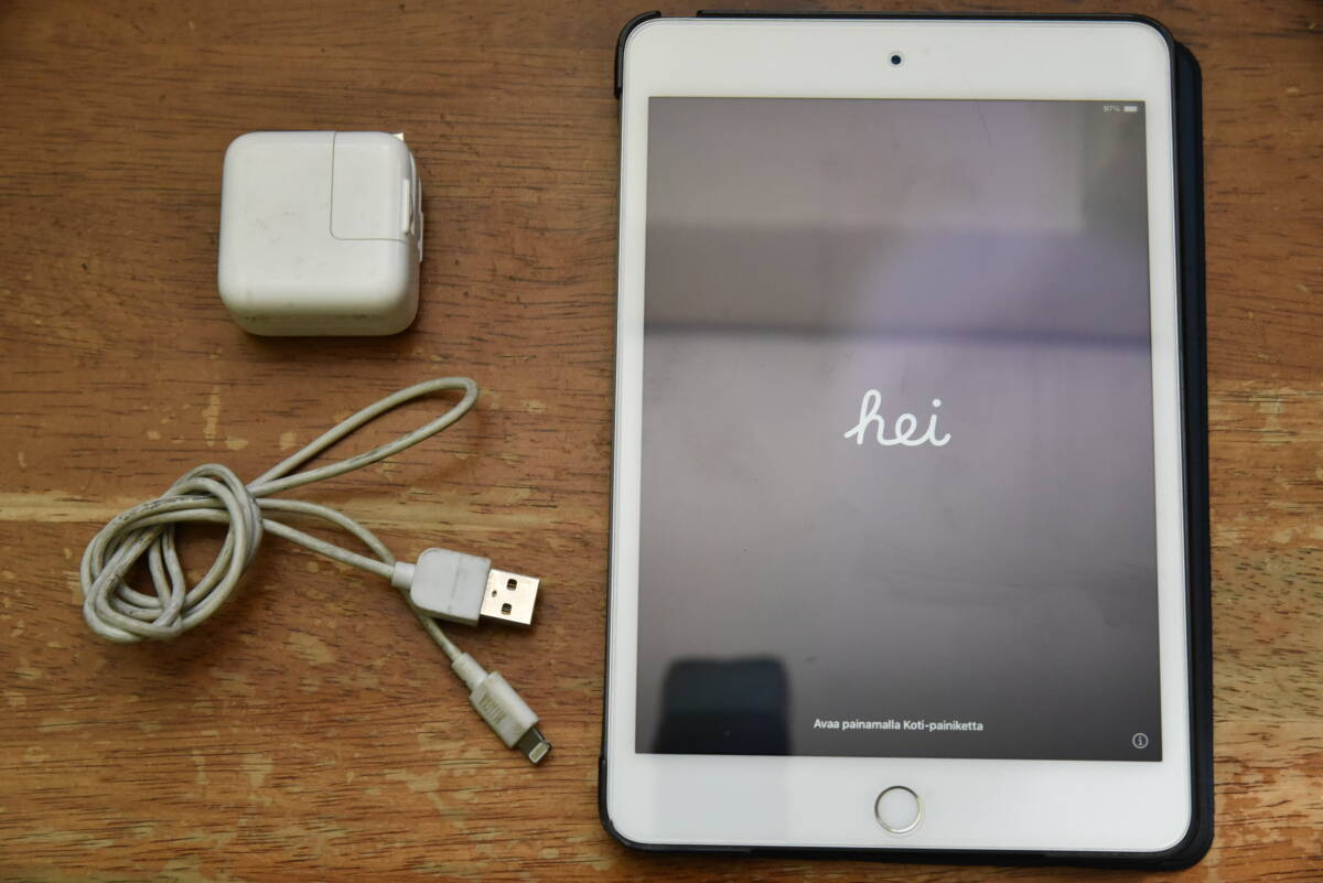 Apple iPad mini 第5世代 256GB A2133 Wi-Fiモデル (ワンオーナー品 動作確認済 アップル アイパッドミニ 拍卖