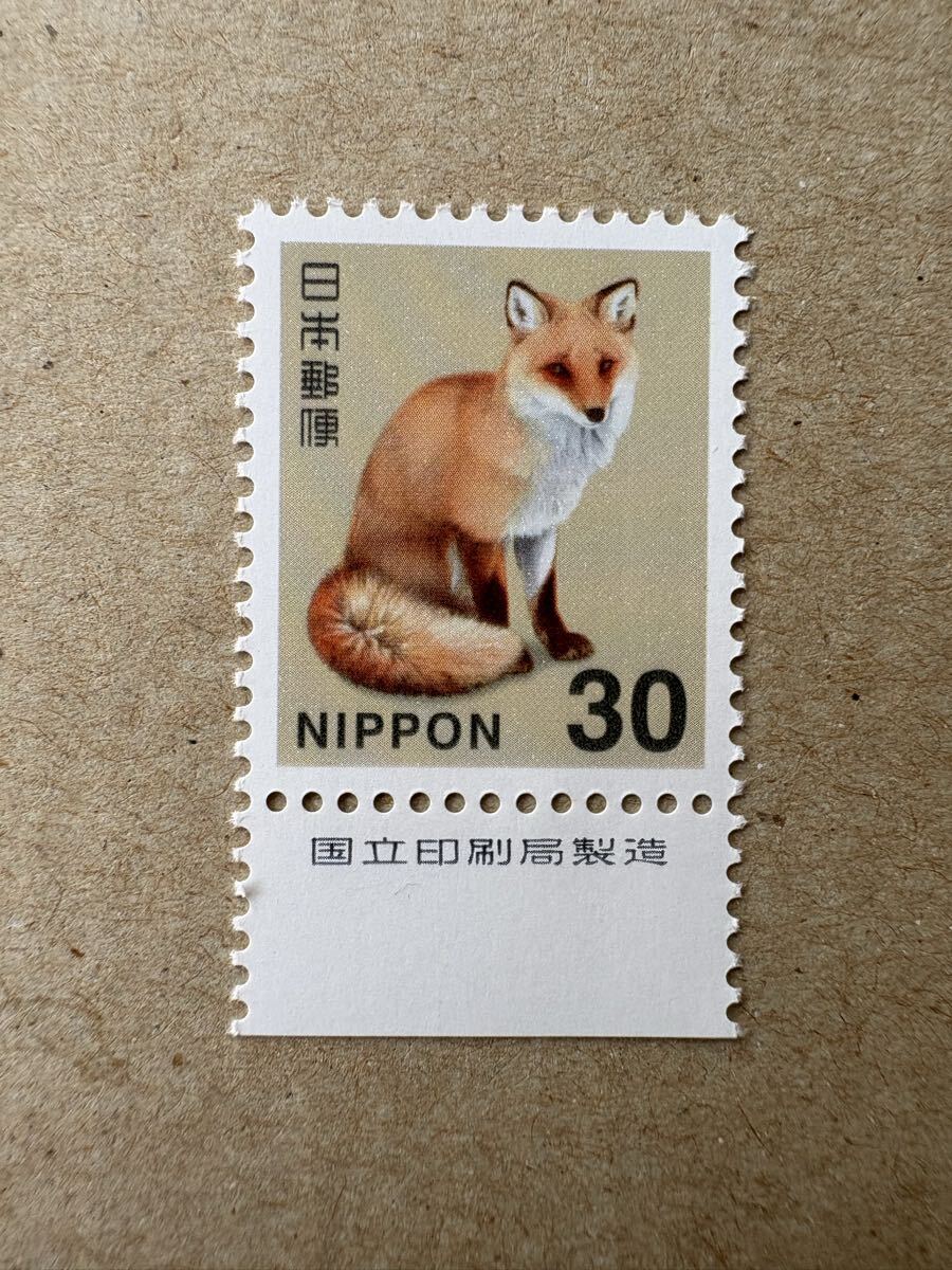 キタキツネ 国立 銘版付拍卖