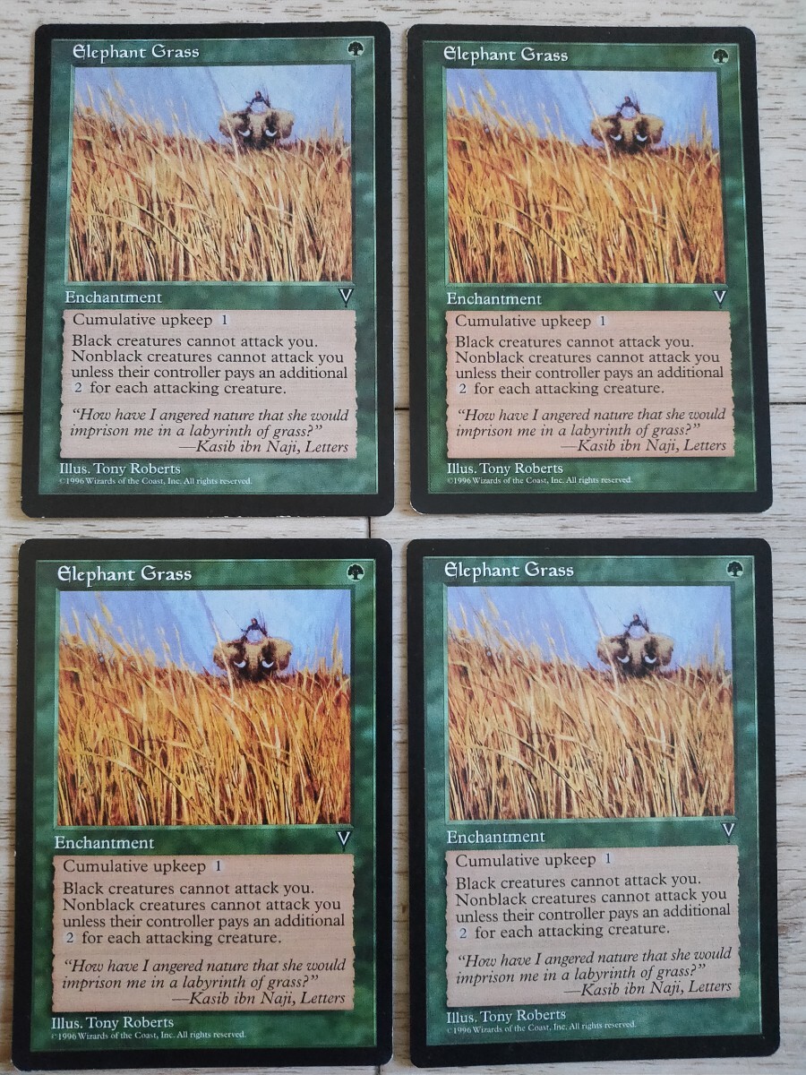 ★エレファント・グラス 英語4枚 4点以上で送料無料拍卖