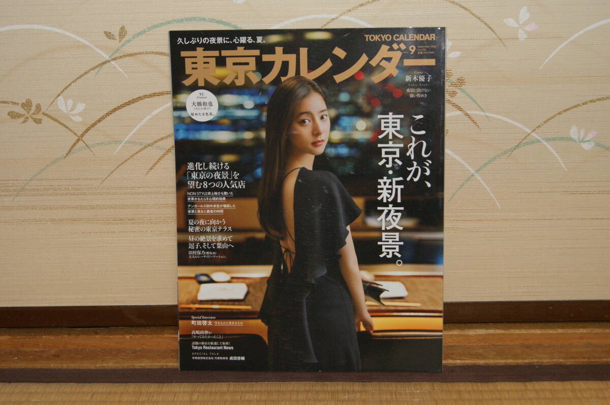 ■中古 東京カレンダー2022年9月no.254 新木優子夜景に負けない強い煌めき これが新夜景 久しぶりの夜景に心躍る、夏 テラス 絶景 葉山拍卖