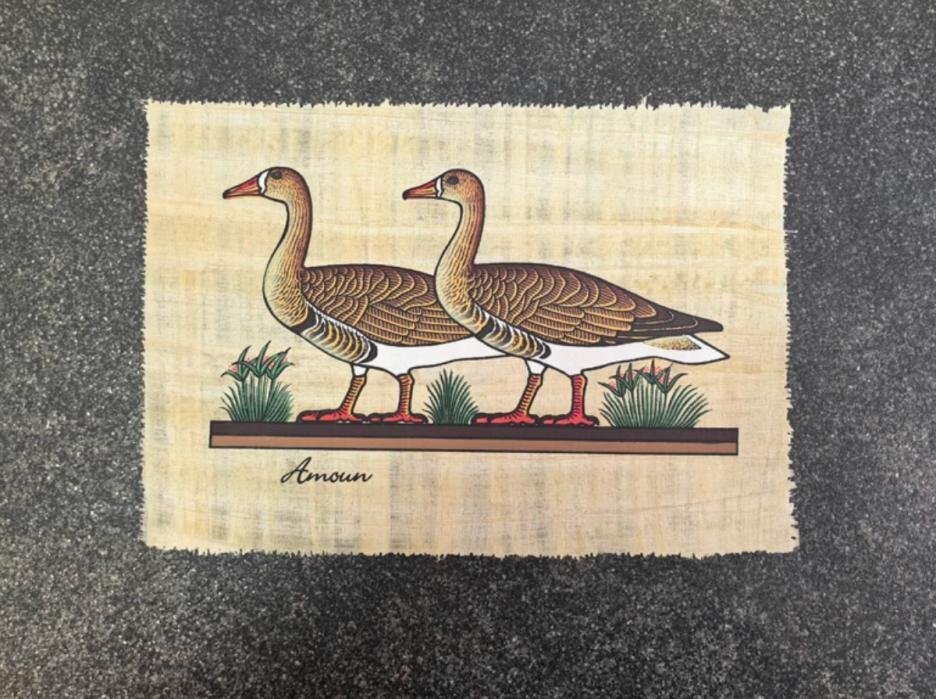 エジプト画 エジプトパピルス画 エジプト草紙画 掛け物 未表装 dpp415拍卖