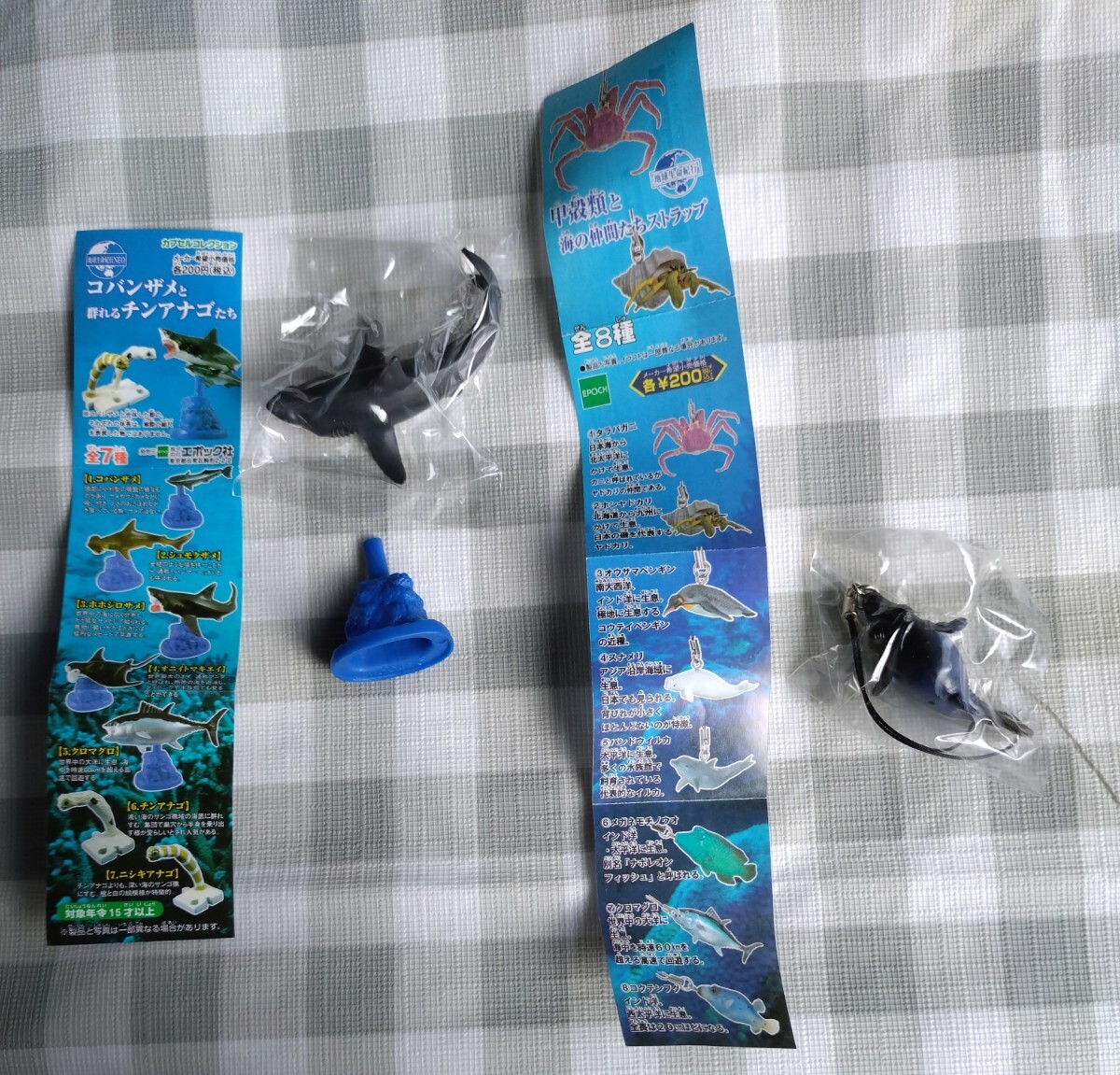 地球生命紀行NEO コバンザメと群れるチンアナゴたち ホホジロザメ、甲殻類と海の仲間たちストラップ コクテンフグ拍卖