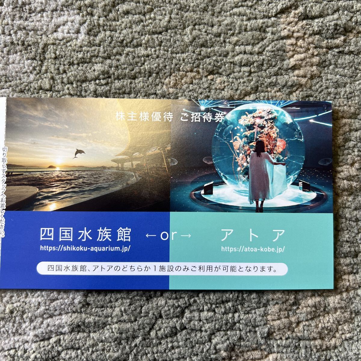 ウエスコ 株主優待 四国水族館 or アトア 有効期限2026年10月31日まで 送料込み拍卖