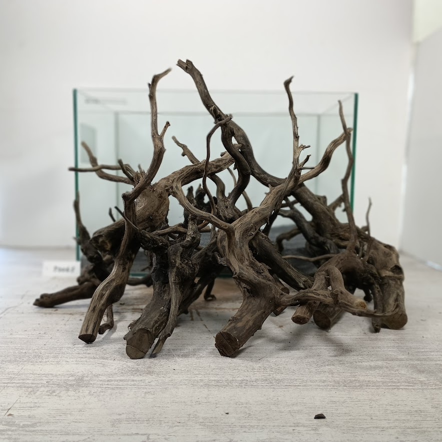 超お買得! 1円スタート ネシア流木ブラックタイプMLサイズ10本 No.50063(45cm水槽)ジャングルレイアウト アクアリウム テラリウム拍卖