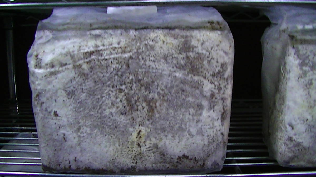 OVER80ブロック48個¥570@拍卖