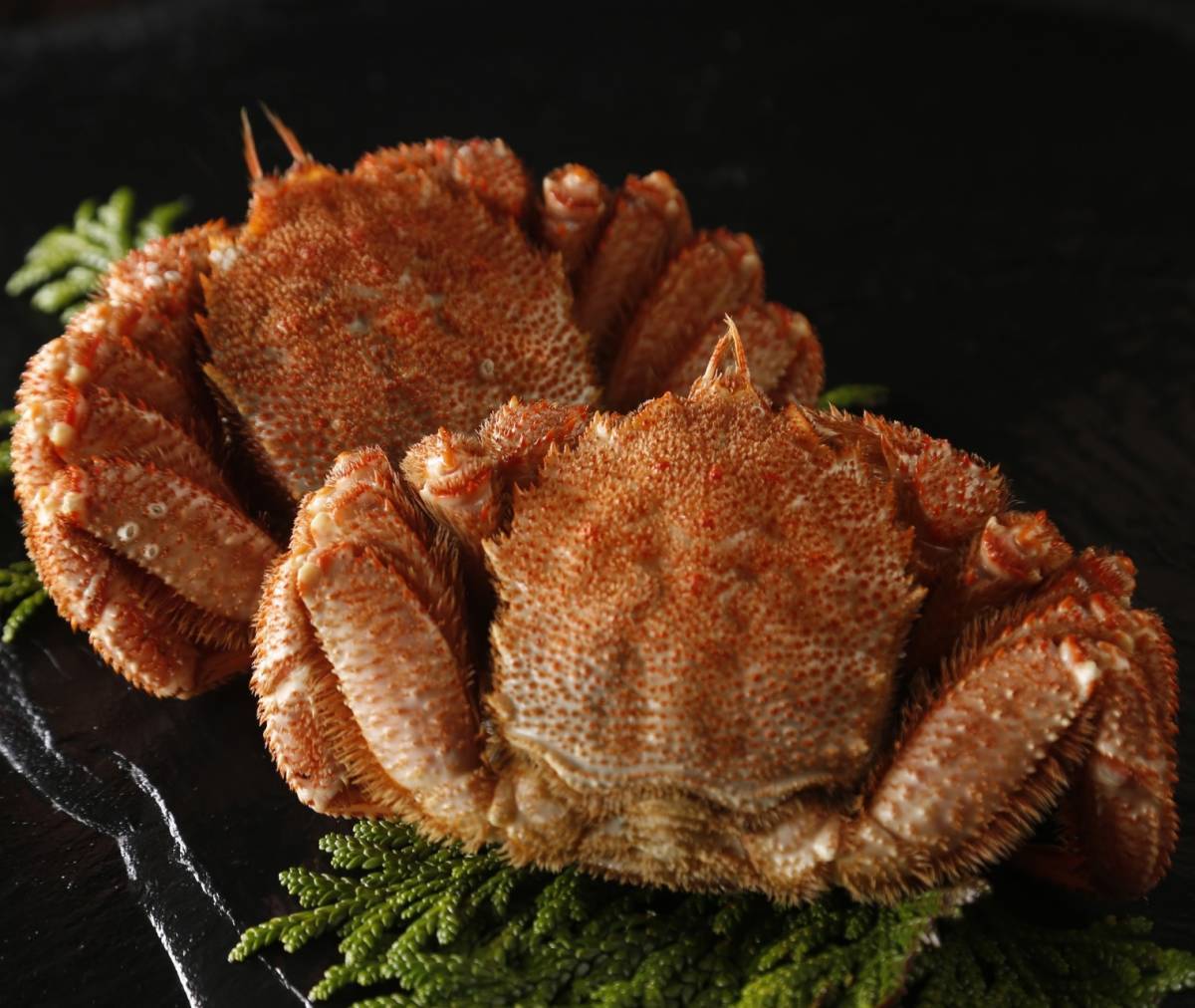 【北海道産】毛蟹2尾セット(約400g×2尾) ◆ボイル冷凍◆秋 毛ガニ カニ 蟹味噌 正月用拍卖