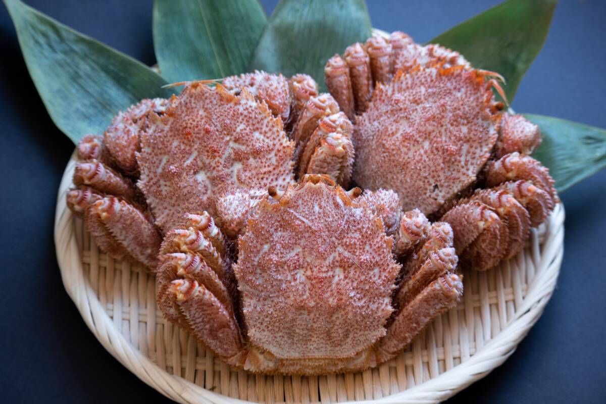 【北海道産】訳あり毛蟹3尾セット(約1kg)★正月まで保存可★毛ガニ 毛がに けがに 毛蟹 函館 かにみそ拍卖